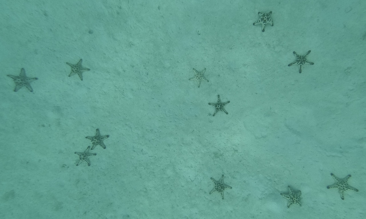 Famiglia di Patrick|small