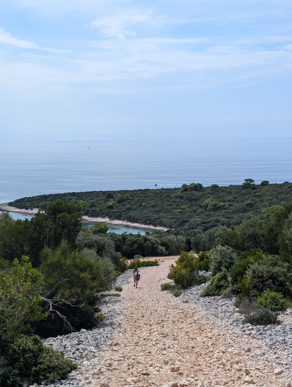 Discesa al Ristorante Balvanida|small