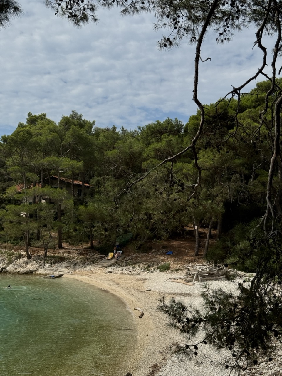 Plaza Zabodarski|small