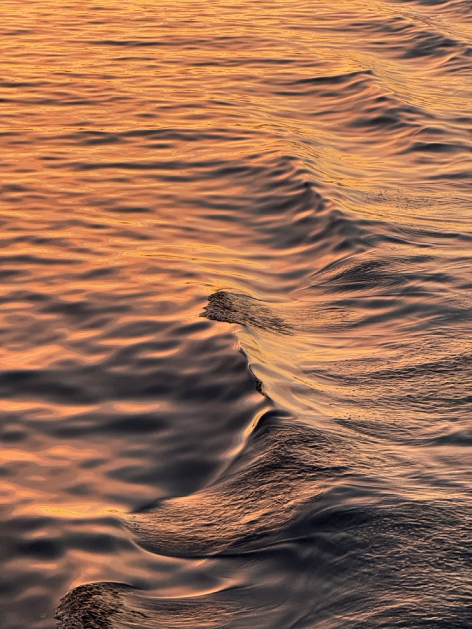 Acqua al tramonto|wide